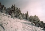 En montant à Chamechaude.
