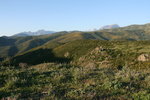 Le Monte Padru (sommet enneigé au centre) vu du Col de San Colombano.