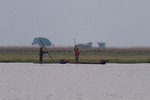 Mokoros sur la rivière Chobe.