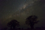 Voie lactée dans le Kalahari.