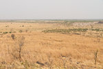 La plaine de Savuti.