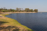 Les berges de la rivière Chobe.
