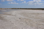Salar