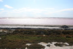 Salins de Giraud