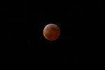 img_0066.jpg