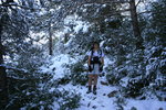 Benjamin, dans la forêt