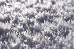 Cristaux de givre