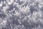 Cristaux de givre