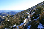 Descente dans les buis