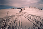 Petite descente entre le Petit Croisse-Baulet (2009 m) et le Col de l'Avenaz (1929 m).