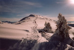 … remontée entre le Col de l'Avenaz et le Petit Croisse-Baulet.