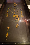 Notre ancêtre Lucy, Australopithecus afarensis de 3,2 millions d'années, au musée national d'Éthiopie.