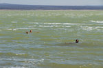 La très forte salinité du lac, son altitude inférieure au niveau de la mer et son emplacement dans la vallée du grand rift rappellent la mer Morte.