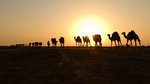 Caravane près de Hamed Ela.