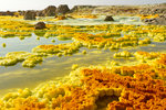 Dallol.