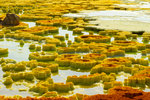 Dallol.
