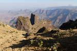 Dans le Simien, près de l'Imet Gogo (3926 m).