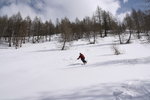 Quelques passages en poudreuse dans la forêt