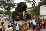 Nandi Bull.