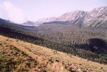 La Forêt de l'Aup du Seuil. Au fond, le Col de Bellefont et les Lances de Malissard.