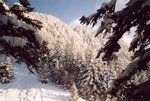 Descente du Moucherotte.