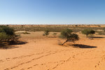 Le désert du Kalahari, à l'est de la Namibie.