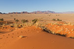 Sur la dune Elim, près de Sesriem