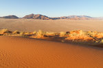 Sur la dune Elim