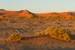 Dunes du Namib
