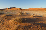 Dunes du Namib