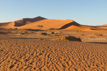 La dune Big Daddy, haute de plus de 350 m.