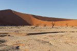 Acacias morts à Dead Vlei