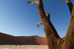 Tronc d'acacia mort à Dead Vlei