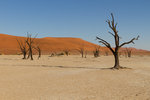 Acacias morts à Dead Vlei