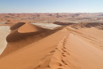 Les dunes du Namib vues de la dune Big Daddy