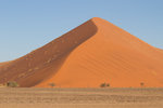 Gigantesque dune dans le Namib