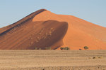 Gigantesque dune dans le Namib
