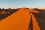 Lever de soleil sur la dune 45