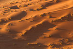 Ondulations d'ombre et de lumière dans les dunes