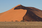 Gigantesque dune