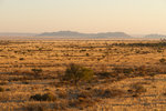 Coucher de soleil sur la savane près de Solitaire