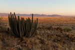 Coucher de soleil sur la savane près de Solitaire