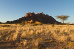 Savane à Spitzkoppe
