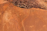 Gravures rupestres à Twyfelfontein