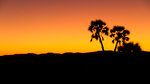 Crépuscule à Palmwag