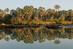 Les rives du fleuve Kunene