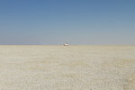 Le pan d'Etosha, plus grand salar d'Afrique australe