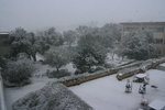 Début de l'averse de neige, à Sophia-Antipolis.