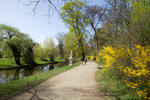 Parc de Sanssouci
