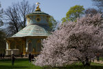 Le pavillon chinois, parc de Sanssouci